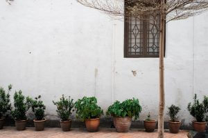 giardino appartamento