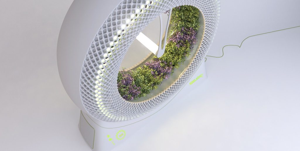 the green wheel progetto designlibero