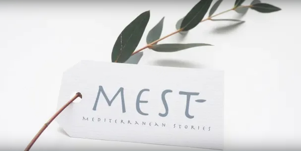 logo mest decor con ulivo