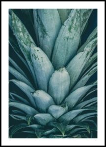 Poster ananas