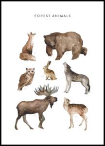 Poster animali foresta